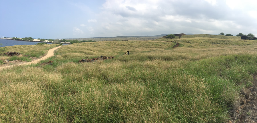 Pu`ukoholā Heiau National Historic Site